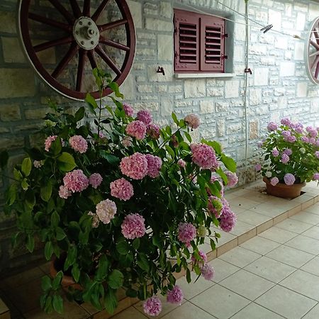 Apartman Sunce Umag Exterior foto
